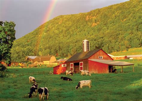 FARM.