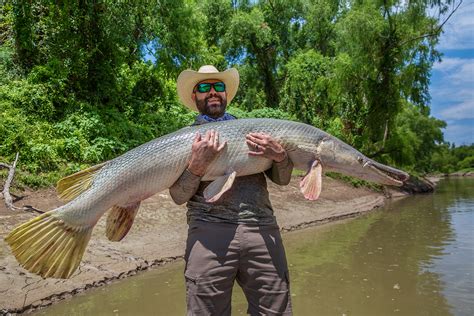 GAR.