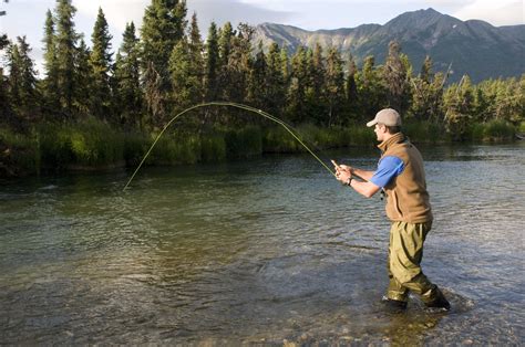fishIn.fo.