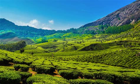 kerala.